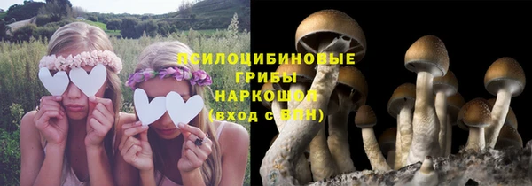 гашик Алексин