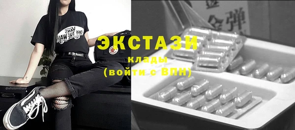 гашик Алексин