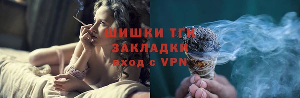 гашик Алексин