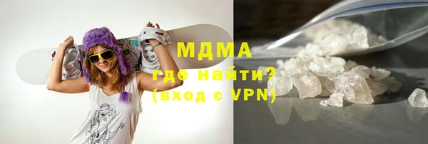 гашик Алексин