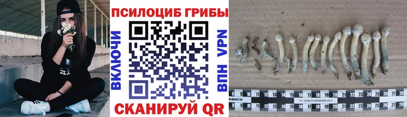 Галлюциногенные грибы GOLDEN TEACHER  площадка состав  Находка  МЕГА как войти 